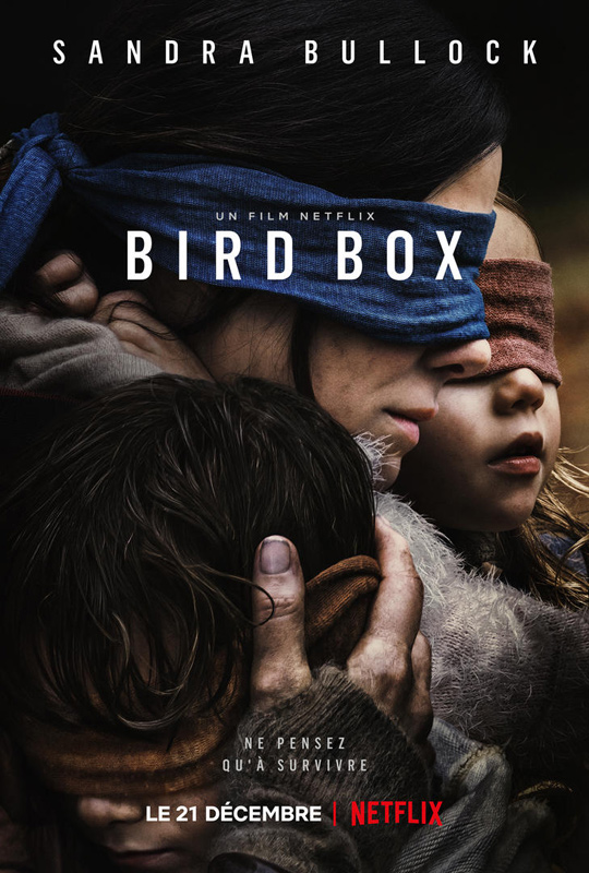 Bird box.jpg